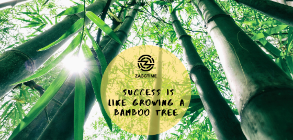 Success is like growing a bamboo tree